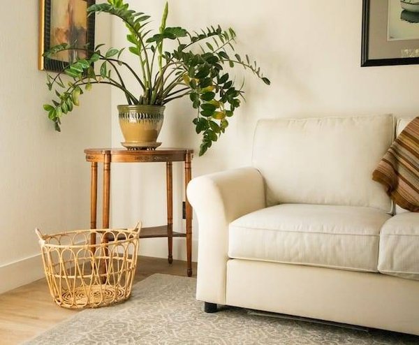 Harmoniser son salon avec le feng shui : conseils et astuces