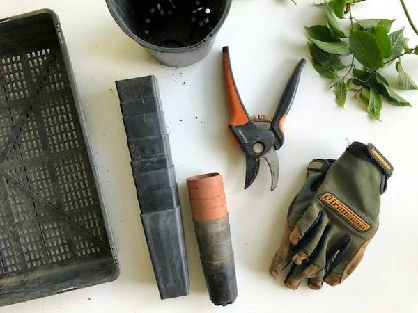 Quels sont les meilleurs conseils pour entretenir son jardin ?