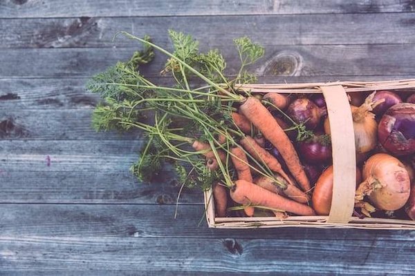 Comment faire un potager dans son jardin ?