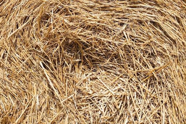 Quels sont les différents types d'isolation thermique ?
