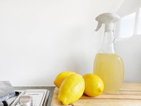 Quels sont les produits naturels pour nettoyer son logement ?